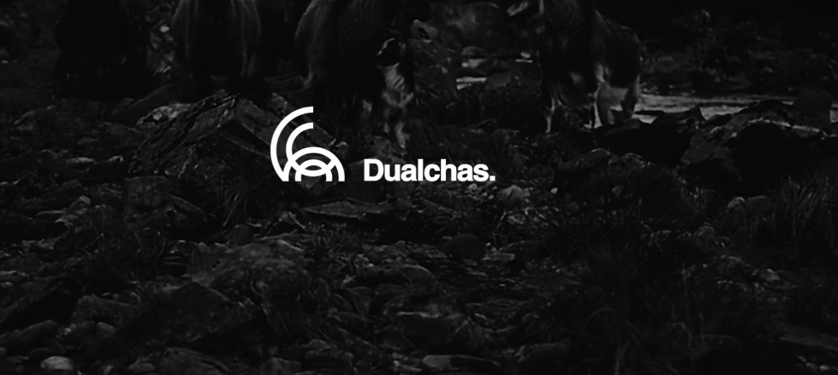 About Dualchas
